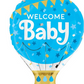 Welcome Baby or Big Brother or Big Sister